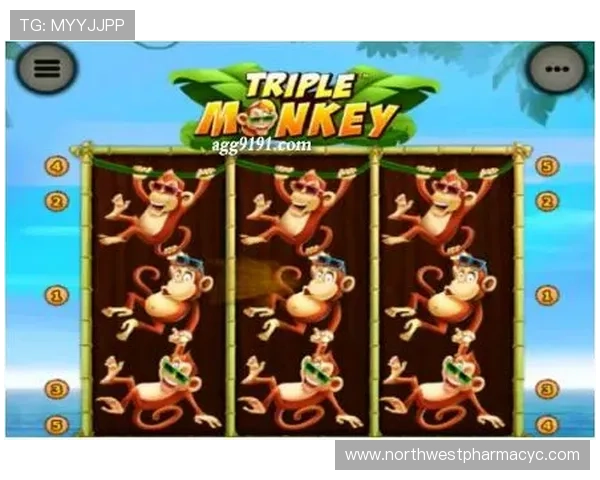 PT电子官网最新游戏推荐及玩法介绍让你玩转多样娱乐体验