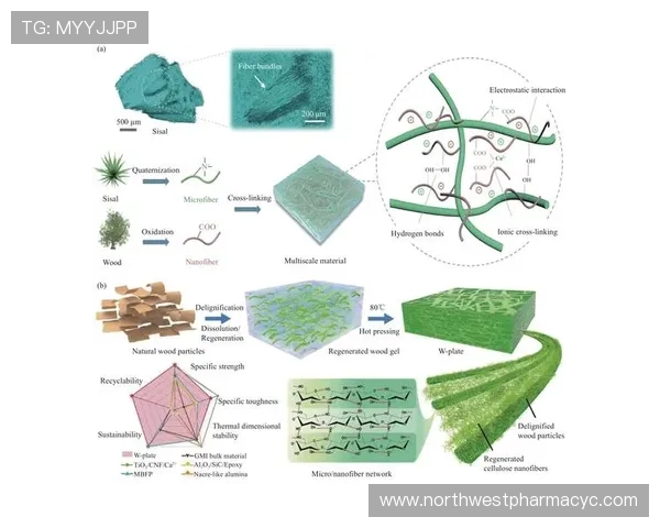 结合实验与理论研究PT电子轨道排布对材料性能的提升作用