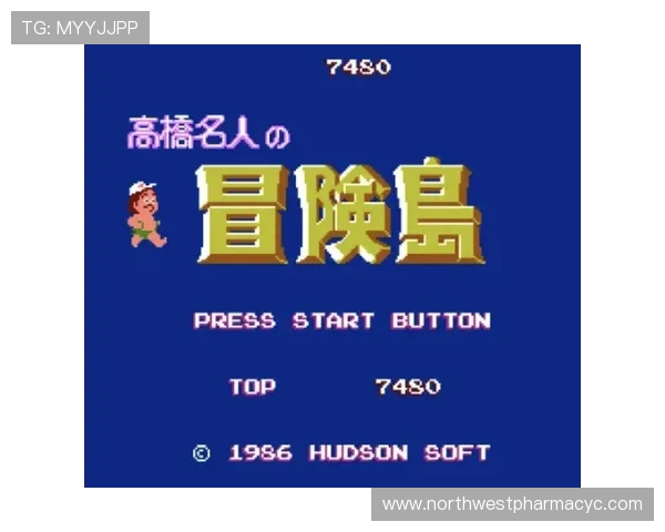 FC游戏大全全方位解析，帮助玩家快速掌握每款游戏的特色与玩法技巧