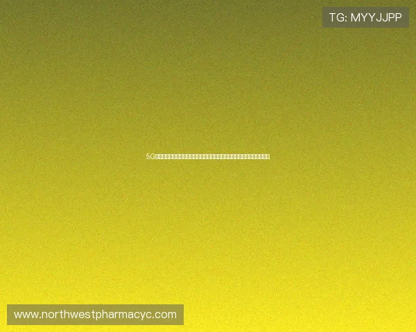 5G游戏技术助力世界杯现场互动体验全面升级实现沉浸式体育赛事观看新突破